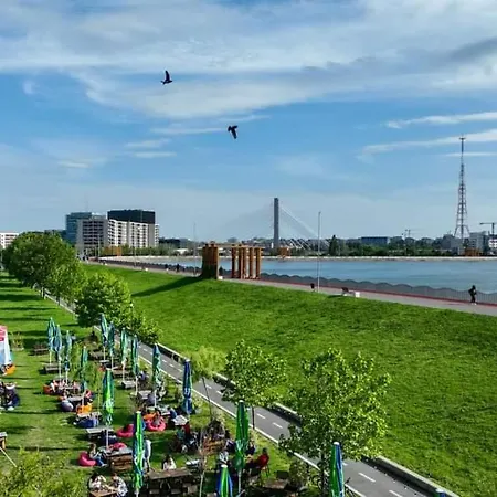 Self Check-in Free Parking Near Metro Stations And Bus Westside S6 *